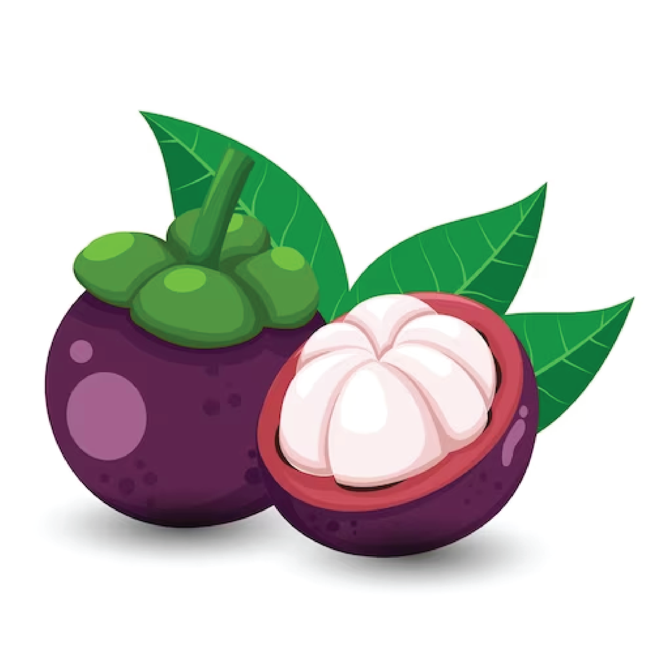 Mangostan