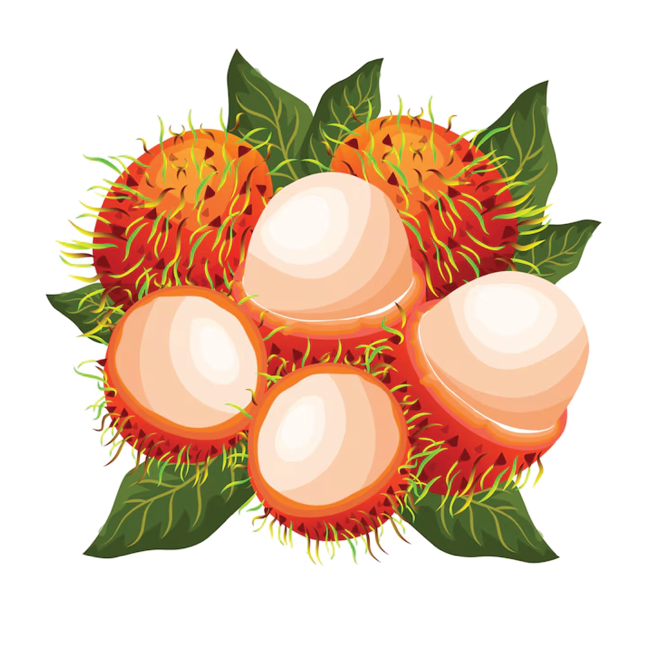 Rambutan