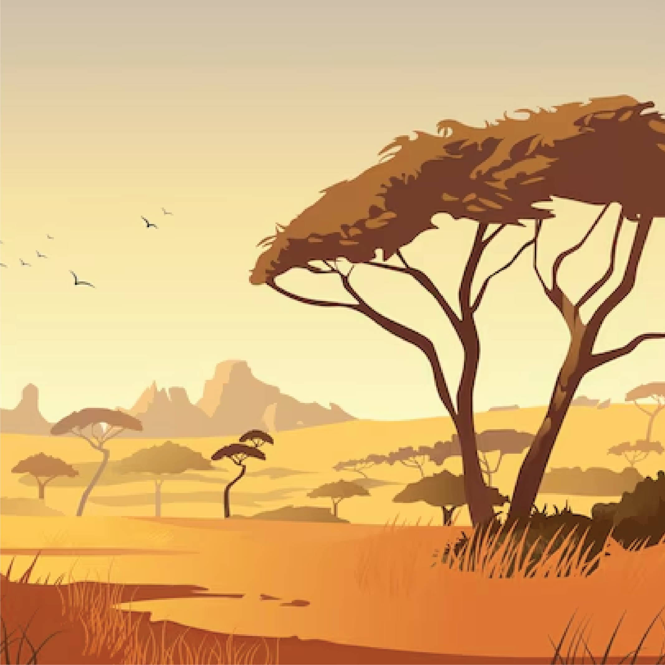 Savana