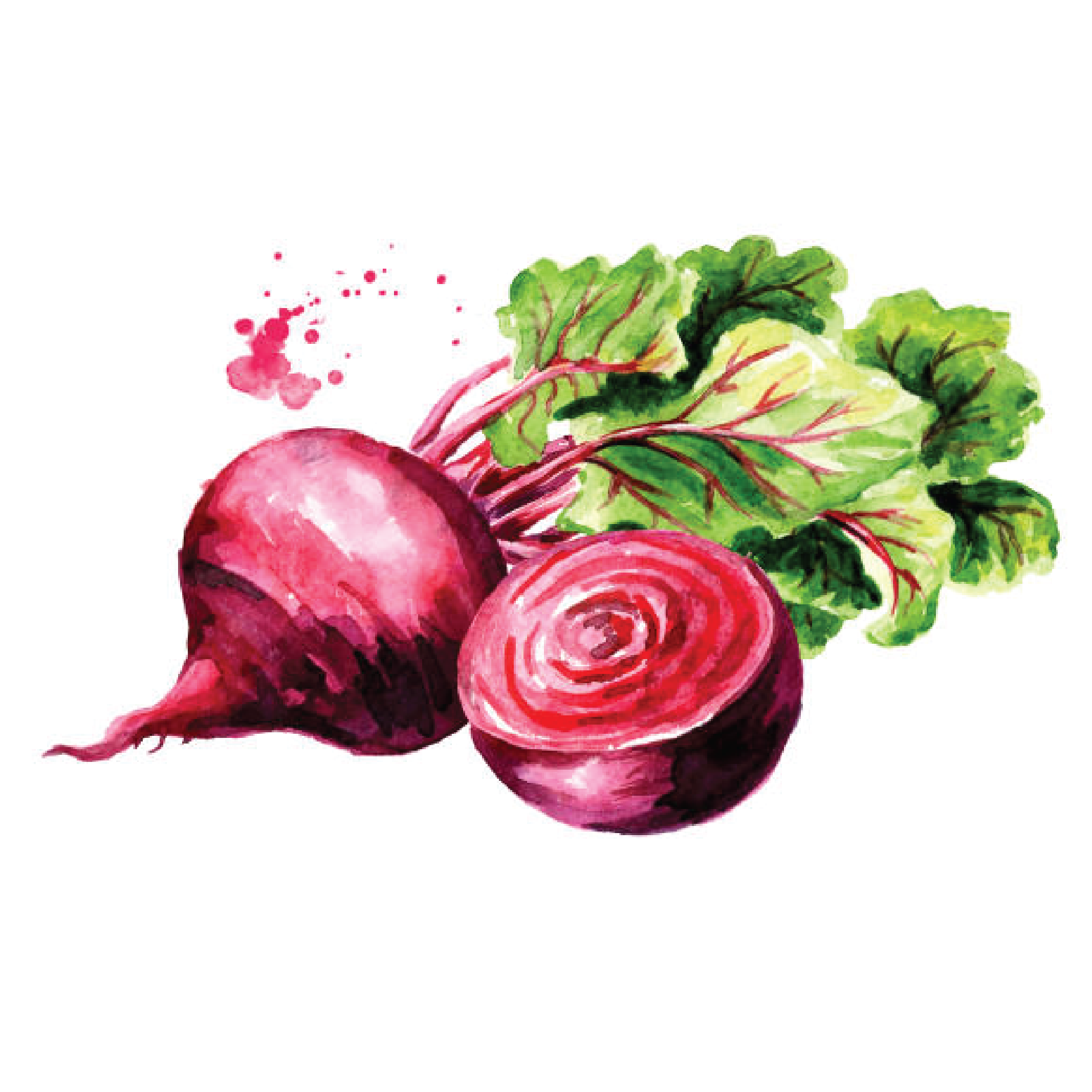 Kırmızı Pancar