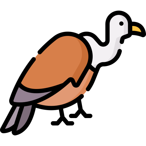akbaba