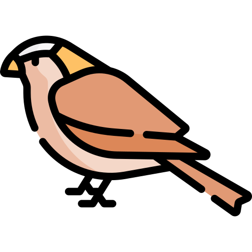 serçe