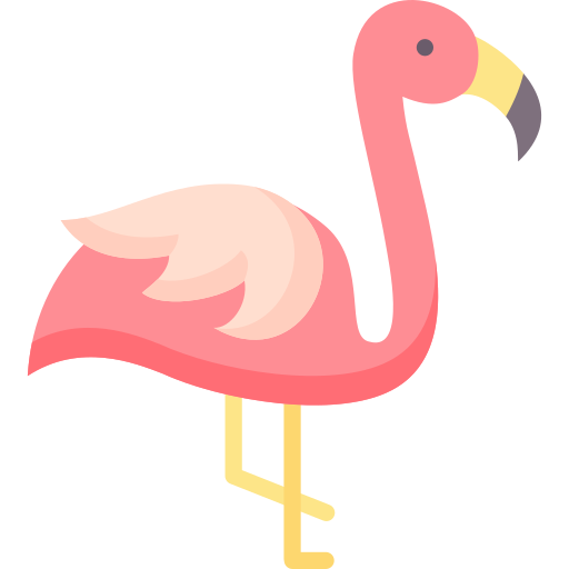 flamingo