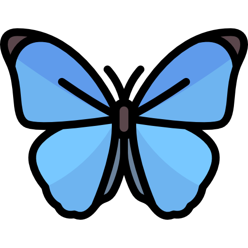 kelebek