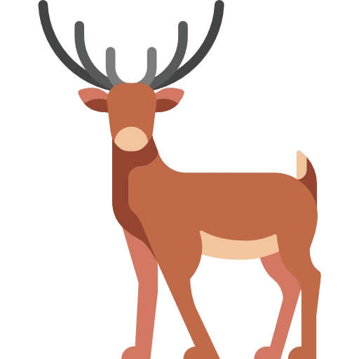 geyik